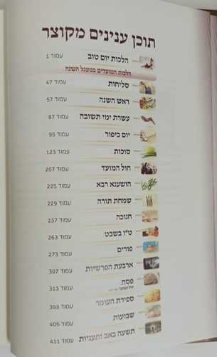 מועדים לשמחה - שבת - דוידי