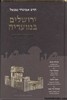 ירושלים במועדיה בין המצרים