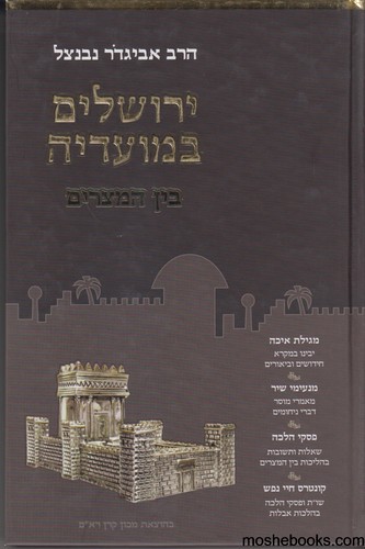 ירושלים במועדיה בין המצרים