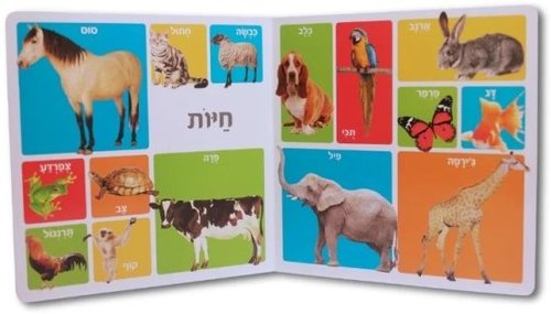 מאה מילים ראשונות - מילים