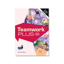טימוורק פלוס ספר TEAMWORK PLUS אריק כהן