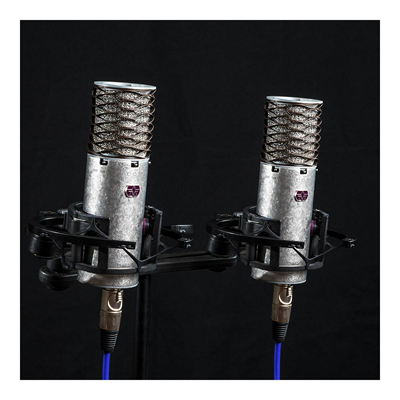 זוג מיקרופונים SPIRIT עם מגיני רוח וחנוכיה מבית Aston Microphones