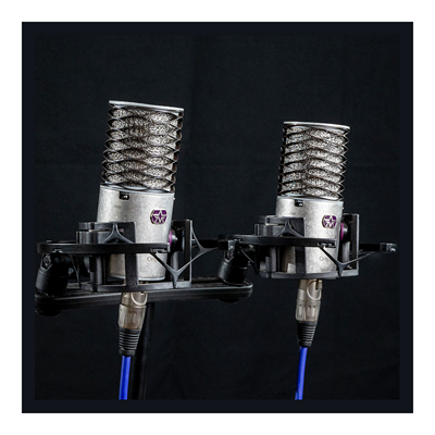 זוג מיקרופונים ORIGIN עם מגיני רוח וחנוכיה מבית Aston Microphones