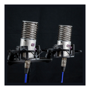 זוג מיקרופונים ORIGIN עם מגיני רוח וחנוכיה מבית Aston Microphones