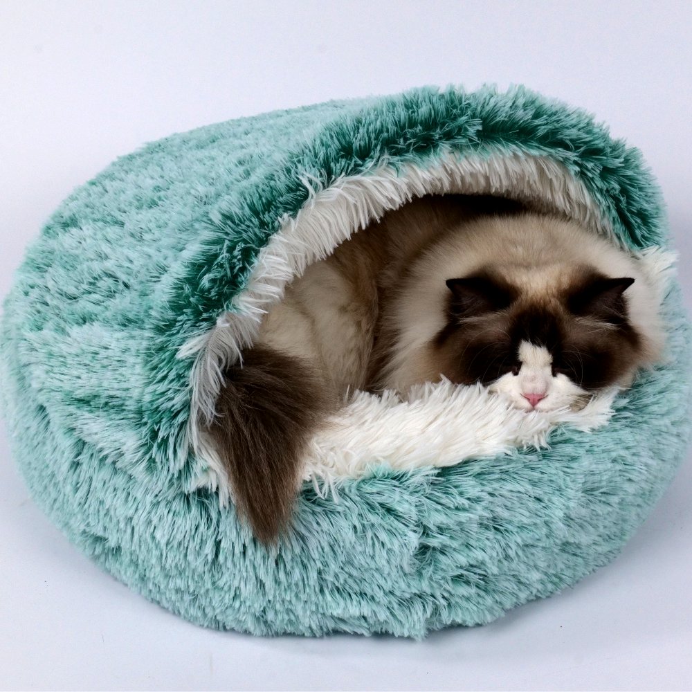 מיטה לחתול איגלו פרוותי 50 ס