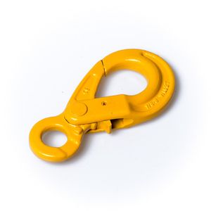 וו הרמה עין מאובטח 2 טון