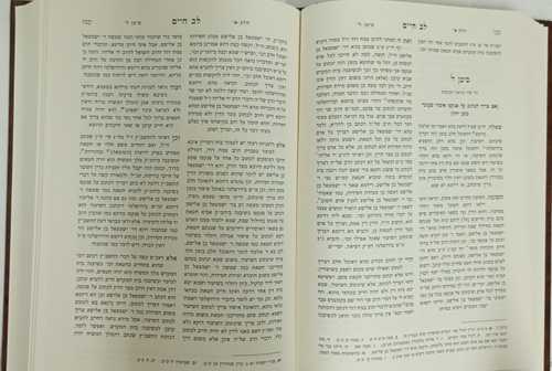 לב חיים ג
