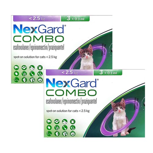 NexGard קומבו אמפולה - טיפול בפרעושים וקרציות לחתולים