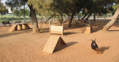 גינת כלבים איך לבחור מקום משחק נכון ובטוח לכלב