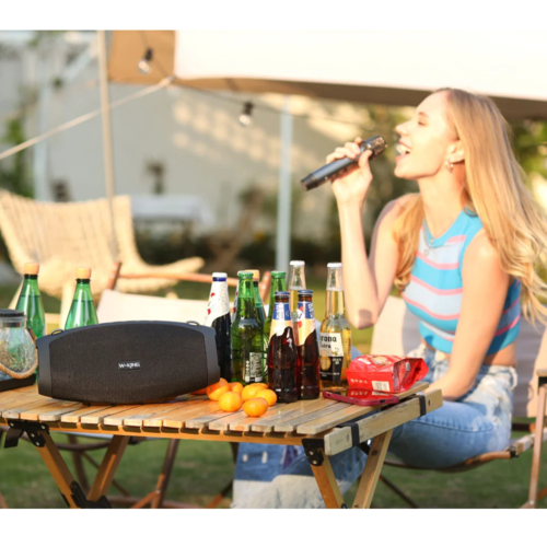 רמקול+מיקרופון W-king X10 Plus