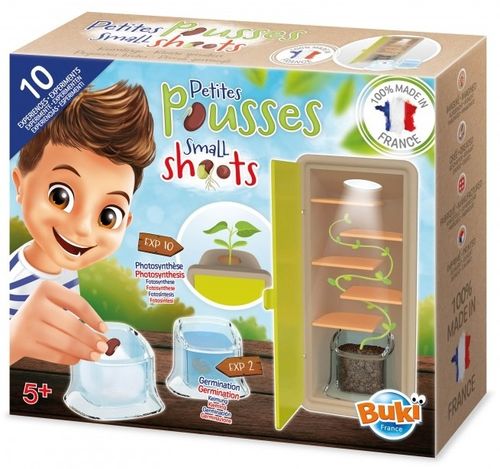 ערכת ניצנים קטנים לגידול צמח מטפס - גלו את סודות החיים של הזרעים והצמיחו מדענים קטנים