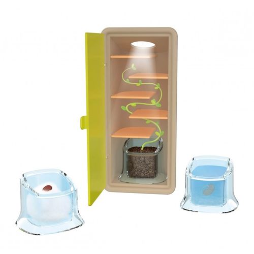 ערכת ניצנים קטנים לגידול צמח מטפס - גלו את סודות החיים של הזרעים והצמיחו מדענים קטנים