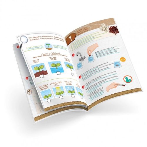 ערכת ניצנים קטנים לגידול צמח מטפס - גלו את סודות החיים של הזרעים והצמיחו מדענים קטנים