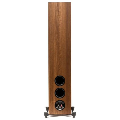 Walnut2