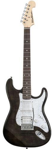 washburn ws300 bk