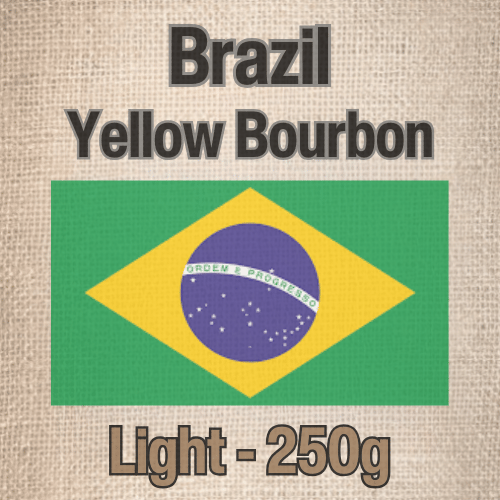 250 גרם פולי קפה בריוסו ברזיל ילו בורבון בהיר Caffe Brioso Brazil Yellow Bourbon Light Roast