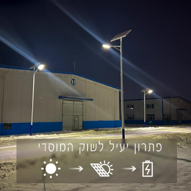 תאורת רחוב סולארית מקצועית - NEWTEC CARBON 5700Lm