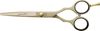 מספריי תספורת מקצועיים HENBOR 782G/5.5 GOLD INOX