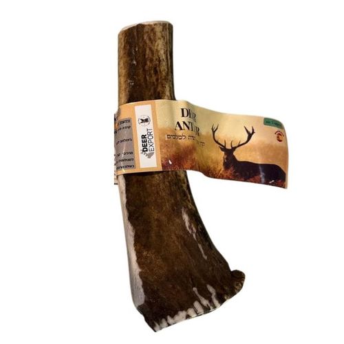 קרן אייל אדום S מידה DEER ANTLER