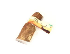קרן אייל אדום חצויה L מידה DEER ANTLER DEER EXPORT