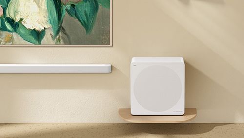 TCL 55
