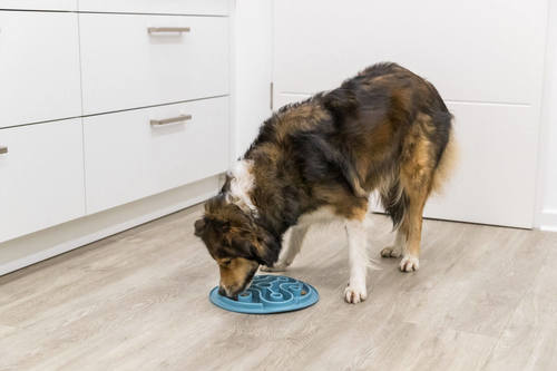 טריקסי משטח האכלה איטית לחתולים וכלבים | TRIXIE Slow Feeding Food Mat