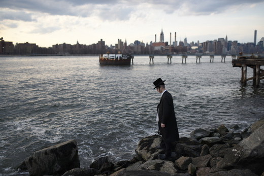 צלם השבוע - בן קלמר