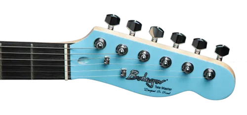 גיטרה חשמלית Budagov Tele Master SKBL