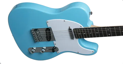 גיטרה חשמלית Budagov Tele Master SKBL