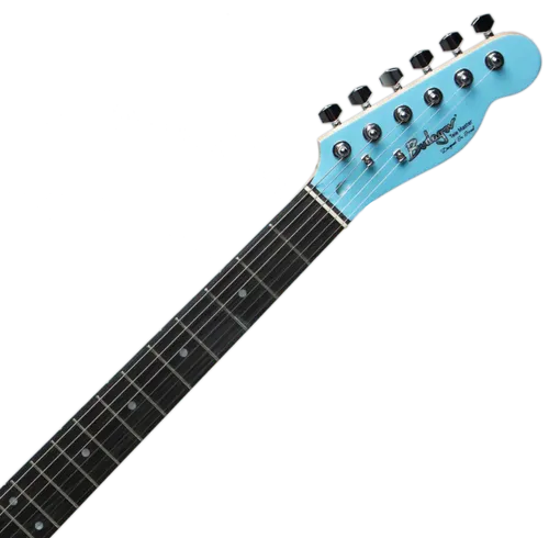 גיטרה חשמלית Budagov Tele Master SKBL