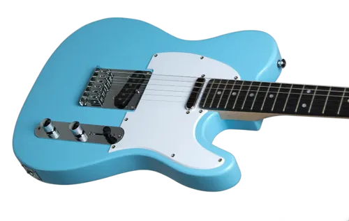 גיטרה חשמלית Budagov Tele Master SKBL