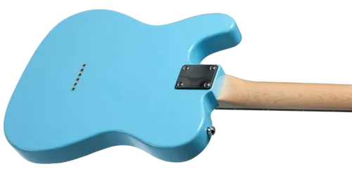 גיטרה חשמלית Budagov Tele Master SKBL