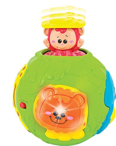כדור פעילות אורקולי חגיגה בג'ונגל WINFUN