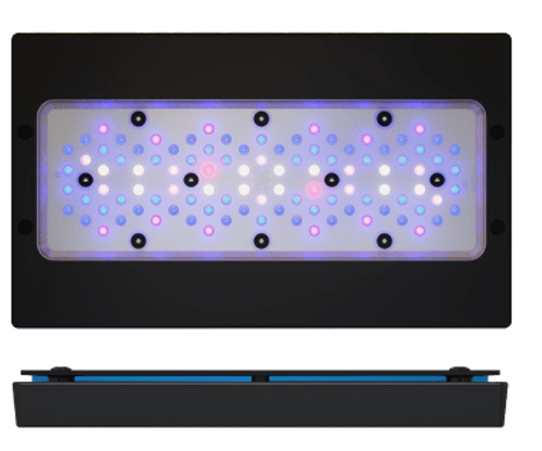 אקו טק מארין רדיון לד בלו Radion XR15 Blue G6