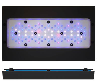 אקו טק מארין רדיון לד בלו Radion XR15 Blue G6