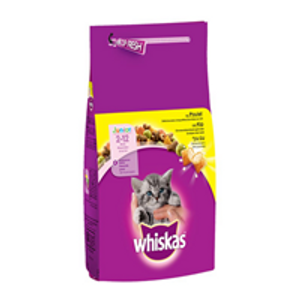 וויסקס לגורי חתולים 7 ק''ג WHISKAS JUNIOR
