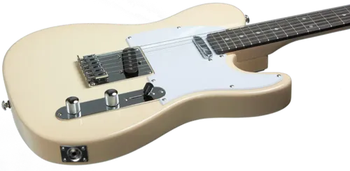 גיטרה חשמלית Budagov Tele Master IV