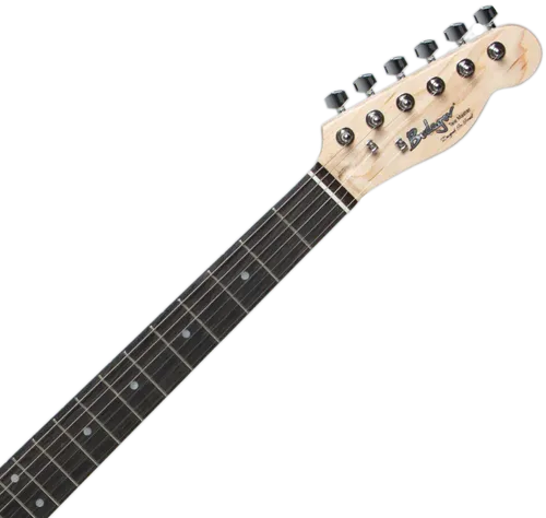 גיטרה חשמלית Budagov Tele Master IV