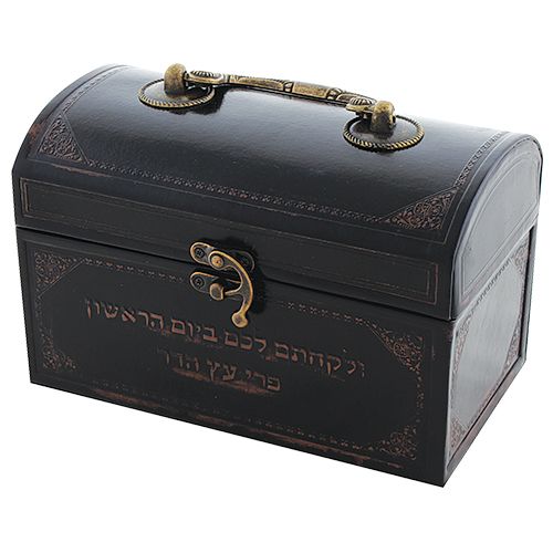 קופסא לאתרוג דמוי עור עם ידית מתכת