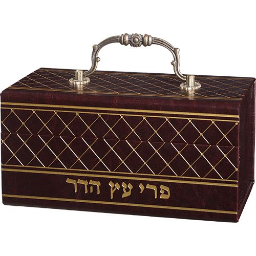 קופסא מהודרת לאתרוג דמוי עור עם ידית