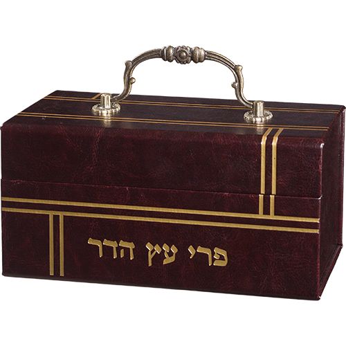 קופסא מיוחדת לאתרוג דמוי עור עם ידית