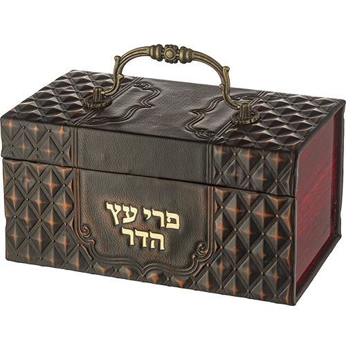 קופסה מהודרת לאתרוג – דמוי עור עם ידית ומנעול