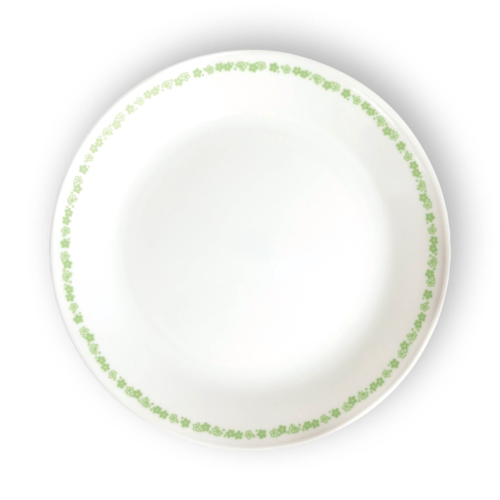 סט 18 חלקים קורנינג Corning CORELLE® - Spring Blossom Green