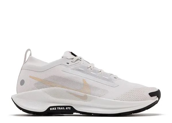 נעלי נייק  Nike Pegasus Trail 5 GORE-TEX | גברים