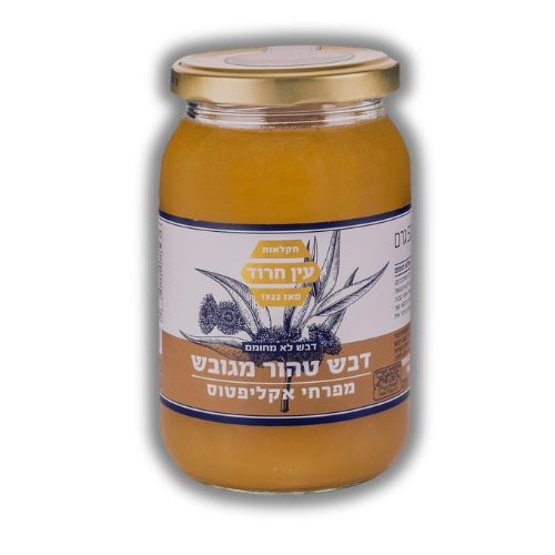 דבש טהור מגובש מפרחי אקליפטוס עין חרוד