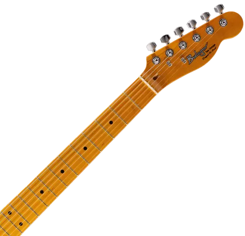 גיטרה חשמלית Budagov Tele Vintage-BK