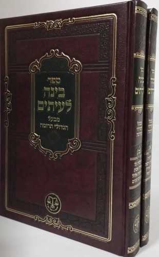 בינה לעיתים - חדש ב