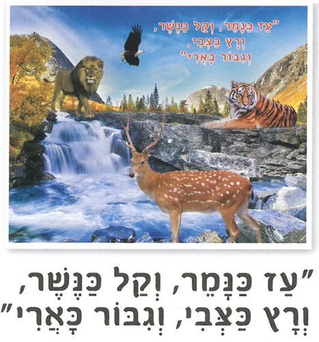 קיט ציור יהלומים דגם הוי עז כנמר