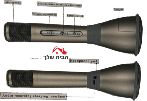 מיקרופון בלוטוס + רמקול TSK02