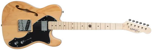גיטרה חשמלית Budagov Thinline